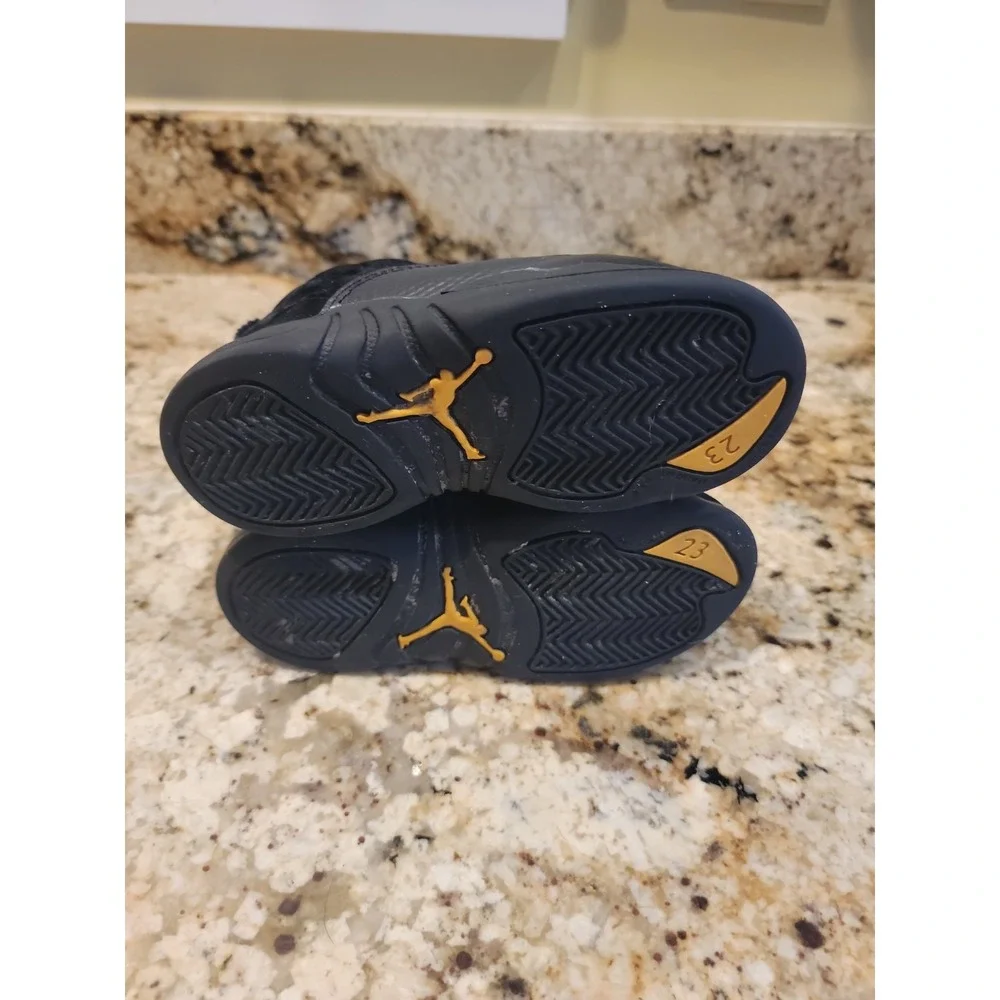 Jordan 12 retro